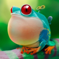 Cute Frog