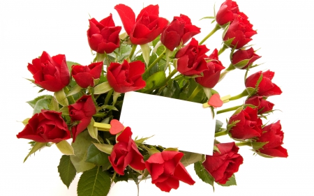 For you! - flower, white, red, green, valentine, rose, mother, card, day