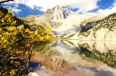 Snowmass Peak reflection in Snowmass Lake - branches, hill, lake, sky, mountain, hills, trees, winter, shore, peak, spring, rocks, reflection, beautiful, snowy