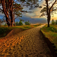 Sandy Path to the Beach