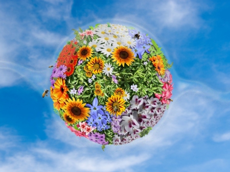 Earth Flowers - sky, bee, clouds, flowers, earth