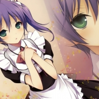 Maid