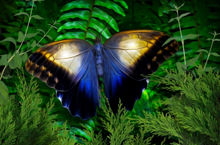 IRIDESCENT BUTTERFLY