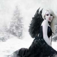 Dark Angel in the Snow