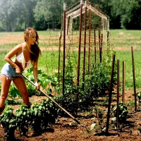 Cowgirl Gardening