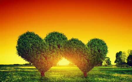 A Sunset Of Love - trees, grass, flowers, sunset, Valentines Day, Valentine, field, Valentines, hearts