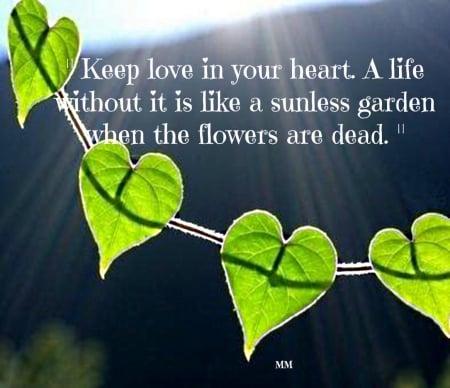 Keep Love - love, sunshine, heart, quotes, nature, leaves, thoughts, flowers, words