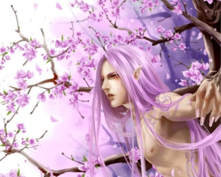 Handsome Guy - fantasy, man, tree, cherry