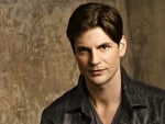 Gale Harold