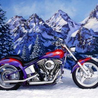 Harley Davidson
