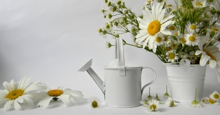 Still Life - flowers, beautiful, white, still life