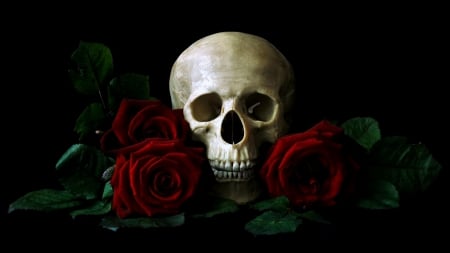 *** - red, roses, rose, head, nature