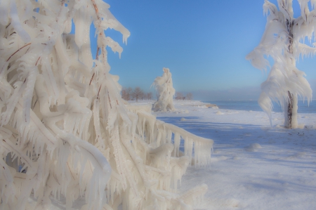 *** - icy, winter, nature, snow