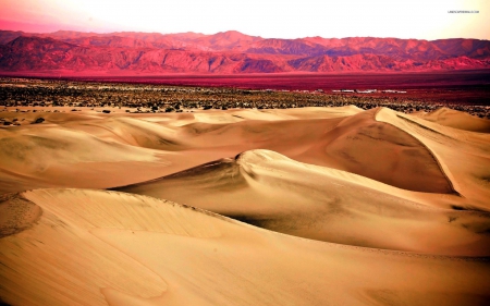 desert dunes - desert, moutain, dunes, grass