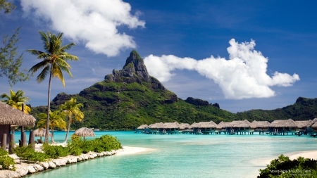 Mount Rahia in Bora Bora - trees, oceans, beaches, sea, islands, nature, tropical, bora bora, palm trees, mountains