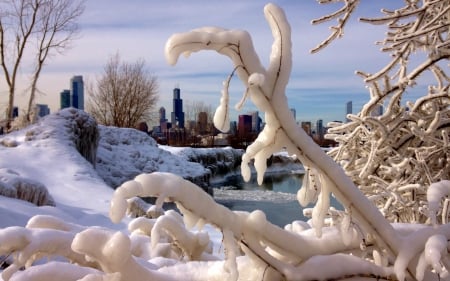 Chicago's Skyline in the Winter - chicago, skyline, winter, nature, snow