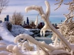 Chicago's Skyline in the Winter