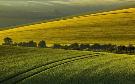 *** - field, nature, dark, sky