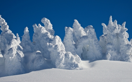 *** - winter, nature, sky, snow