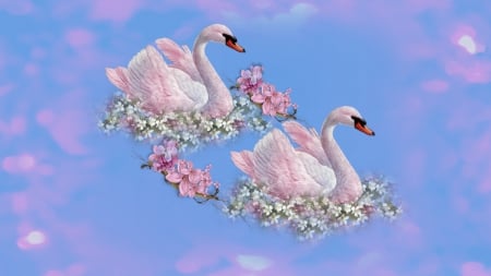 ~*~ Romance ~*~ - swans, romantic, hd wallpaper, romance, flowers