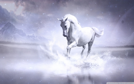 white horse - white, horse, pure, beauty