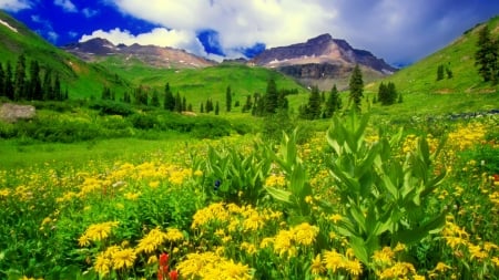 Mountain greenery - greenery, hills, beautiful, landscape, slope, grass, mountain, plants, sky