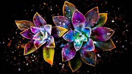 3d Flowers - abstract, flowers, drops, 3d