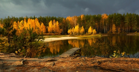 Amazing Autumn - lake, autumn, forest, trees