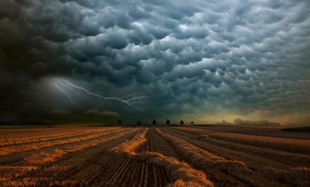 Storm - fields, lightning, storm, clouds