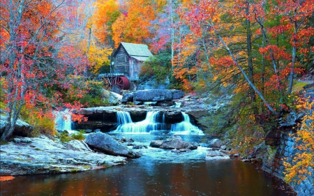 Autumn - autumn, trees, forest, river, park, house, stones