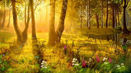 Morning Shining in Forest - morning, sunshine, trees, sunlight, light, summer, spring, bright, forest, flower