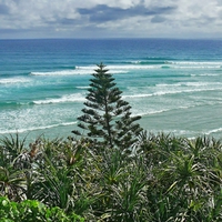 Rainbow Bay Greenmount lineup