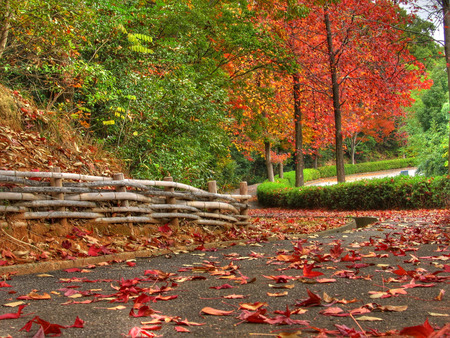 	Winding ways of autumn - autumn, ways, winding