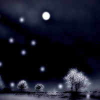 Moonlit Night Fantasy