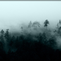 misty mountain silhouettes