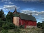 Red Barn Ivy