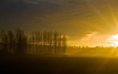 Misty sunset - sunsets, nature