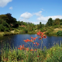 Consall Hall Landscape Gardens