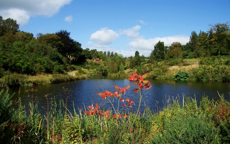 Consall Hall Landscape Gardens - consall, gardens, hall, landscape