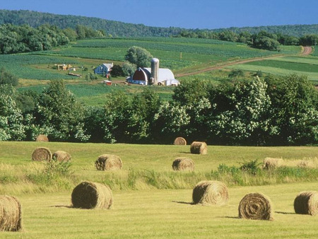 Country Haystack - landscape, trees, haystacks, field, farmhouse, country