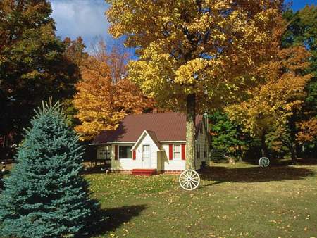 Cabin in the woods - wagon wheels, woods, house, trees, cabin