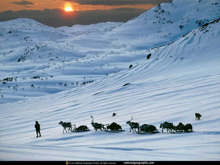 Trekking in the snow - winter, caribou, snow, sunshine, sled, mountains