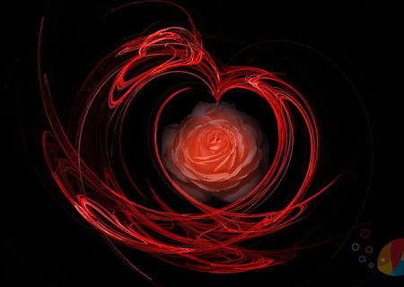 Rose Art - black, red swirls, rose