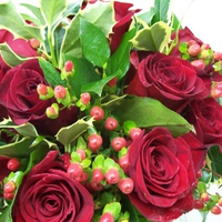 Red Roses, Holly and Ivy