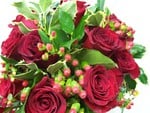 Red Roses, Holly and Ivy