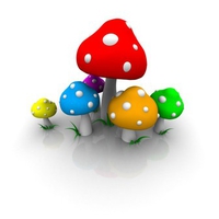 Colorful-Mushrooms