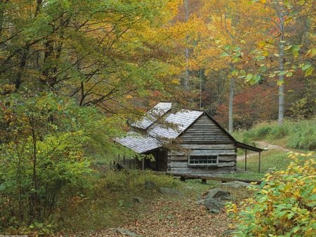 National Park  - nature, landscape