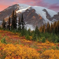 Fall in Paradise Mount Rainier National Park