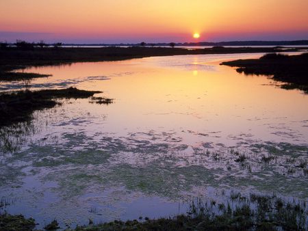 Marshlands Sunset Assateague Island Maryland - sunsets, nature, sky