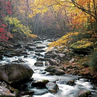 Little River Tremont Great Smoky Mountains National Park Tennessee